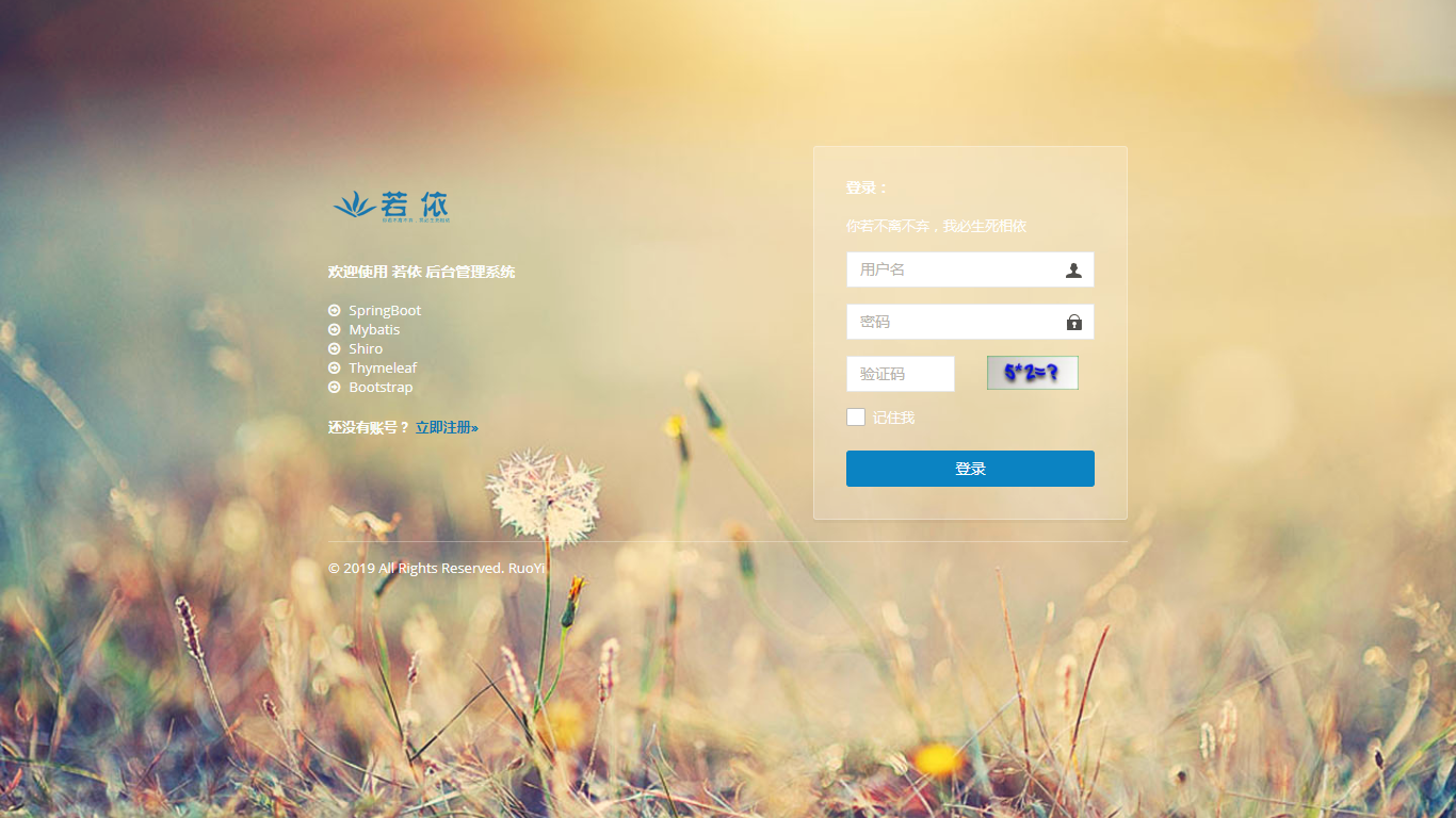 RuoYi-fast 界面截图