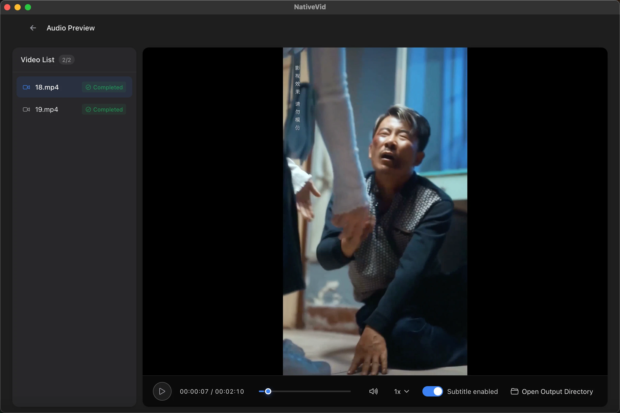 NativeVid--Local-AI-Video-Translator-Dubber 界面截图