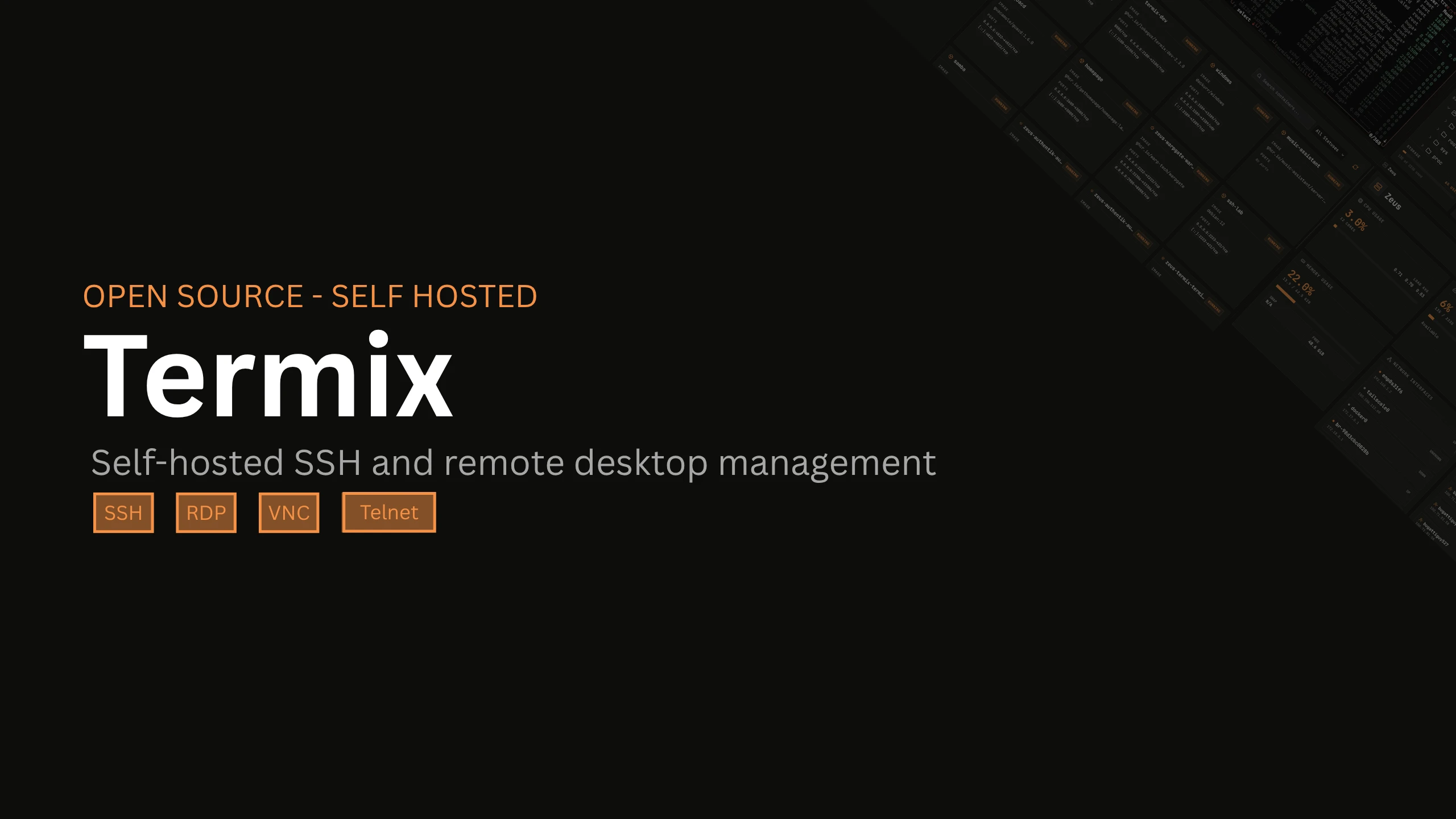 Termix 界面截图
