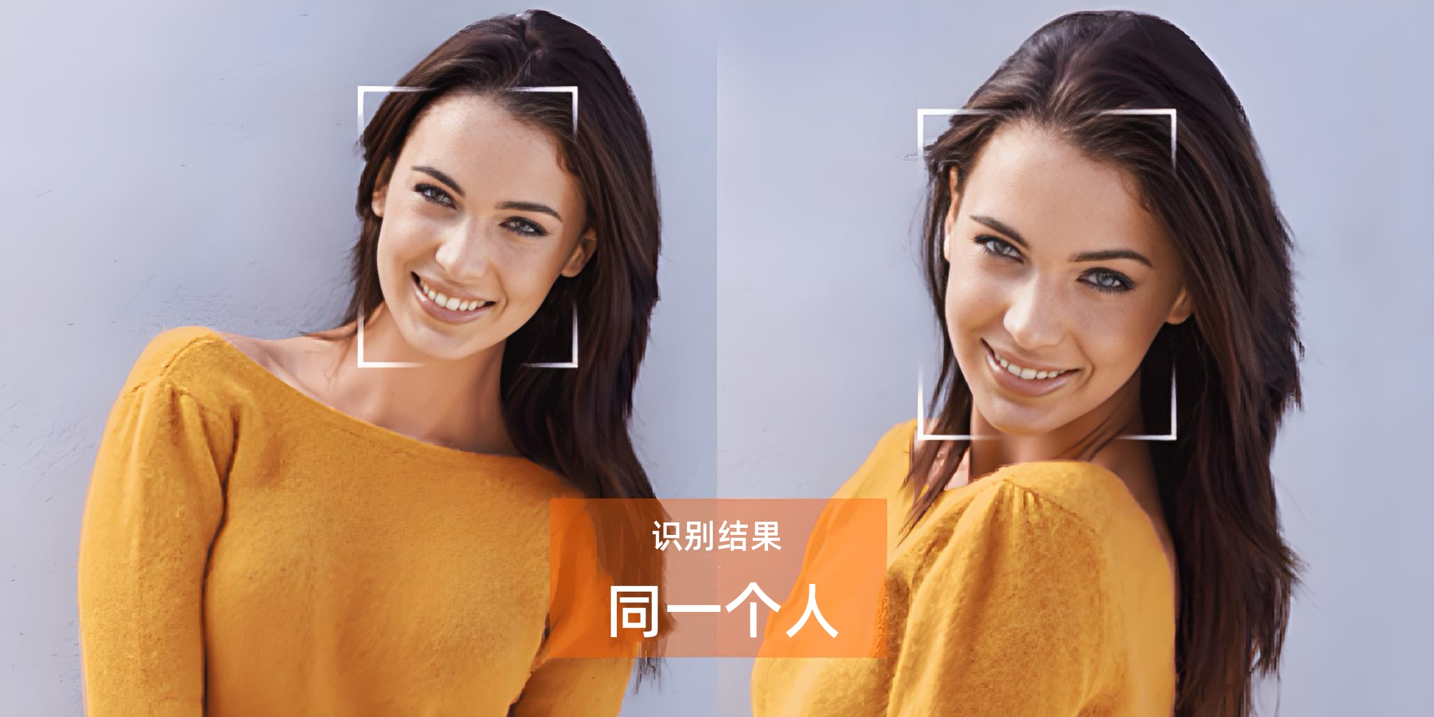 SmartJavaAI 界面截图