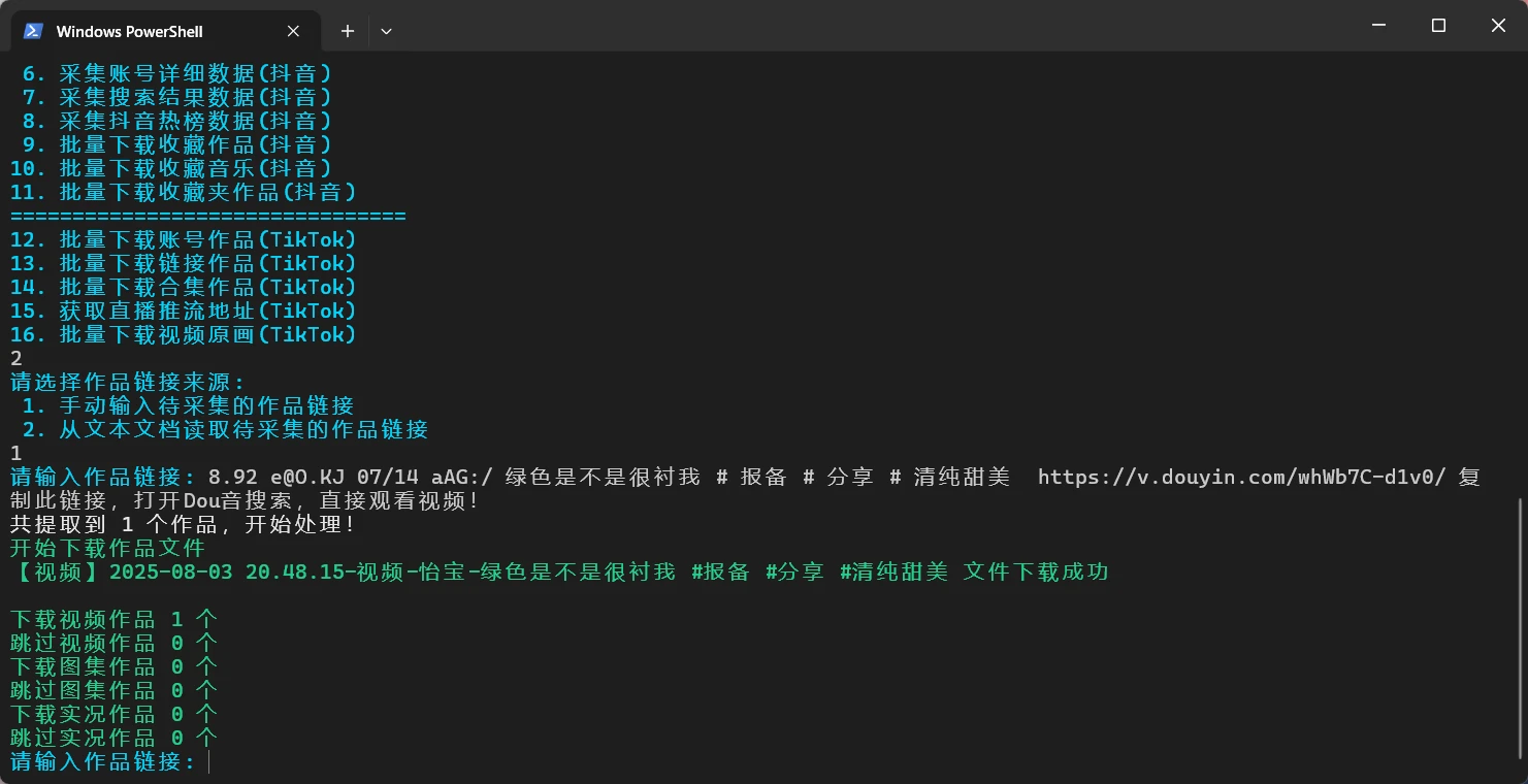 TikTokDownloader 界面截图