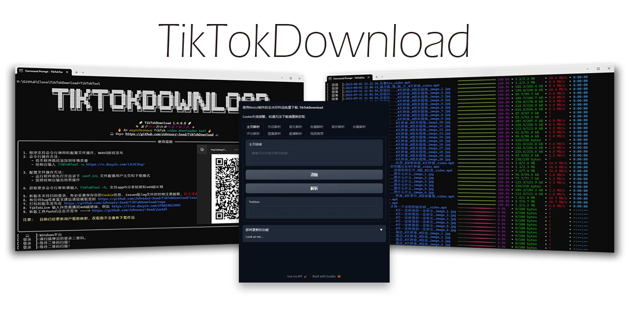 TikTokDownload 主界面