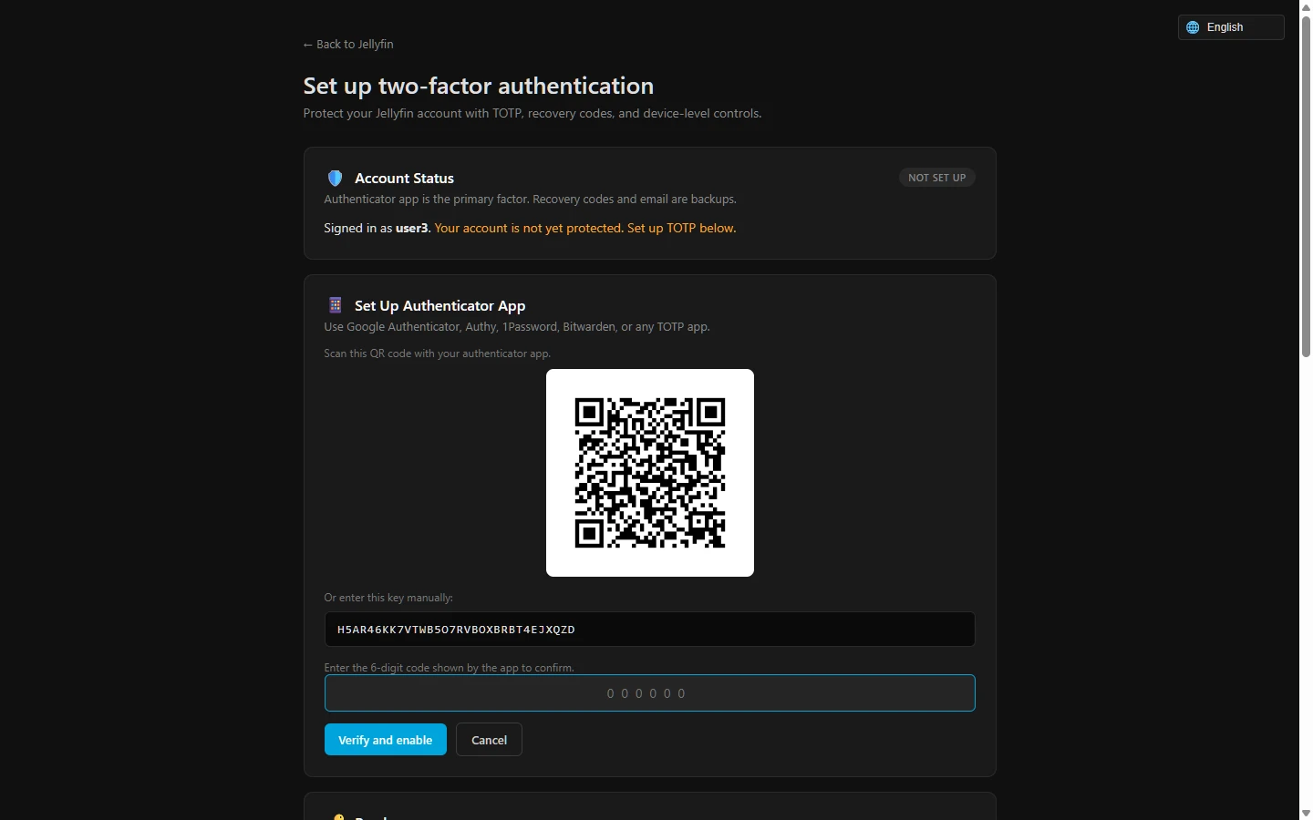 JellyfinSecurity 界面截图