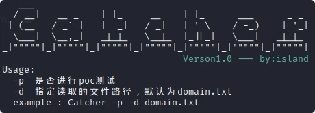 Catcher 界面截图