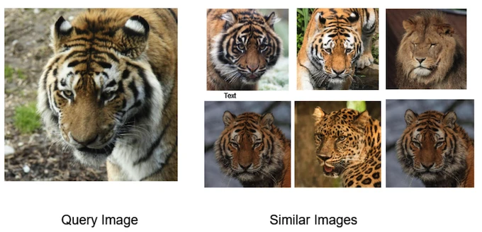 similarities 界面截图