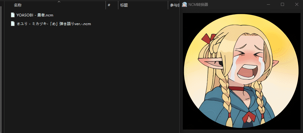 ncmdump 主界面