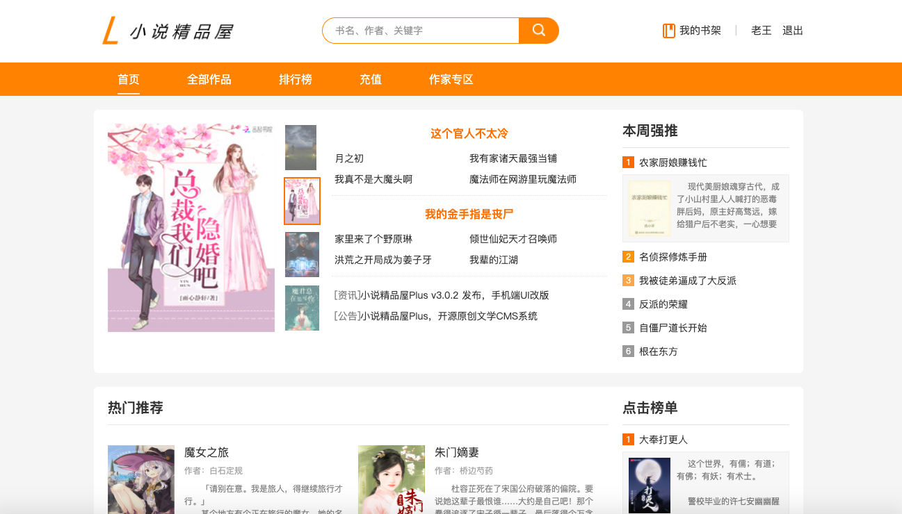 novel 界面截图