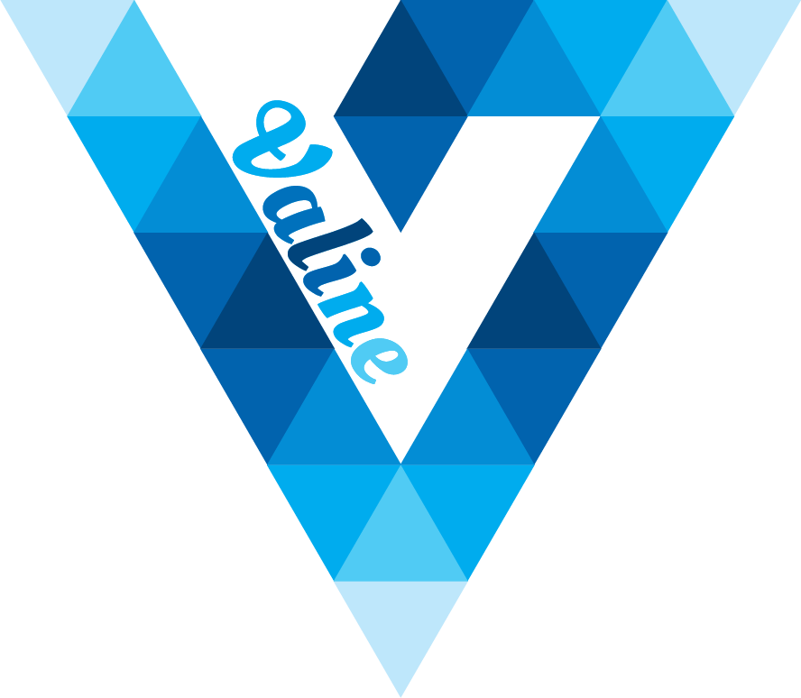 Valine 主界面