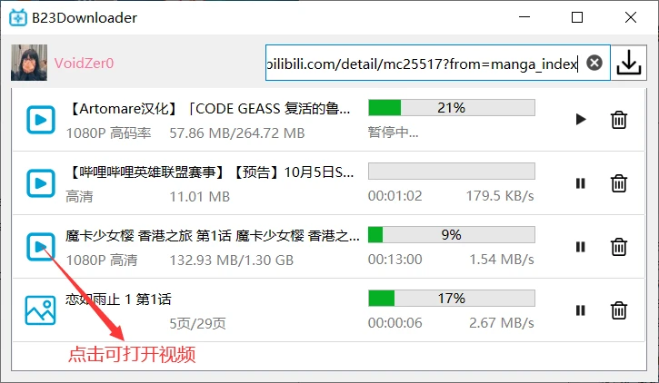 B23Downloader 界面截图