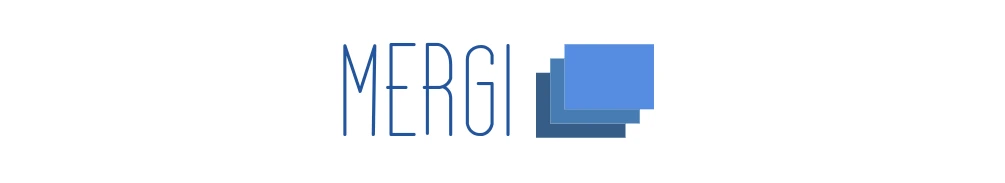 mergi 主界面