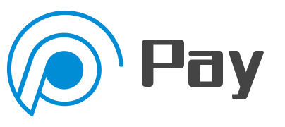 pay 界面截图
