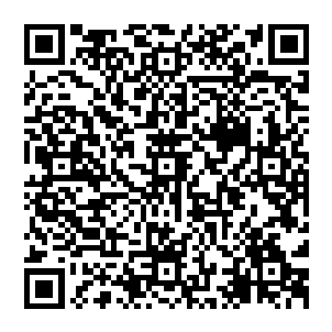 EasyAds-Android 界面截图
