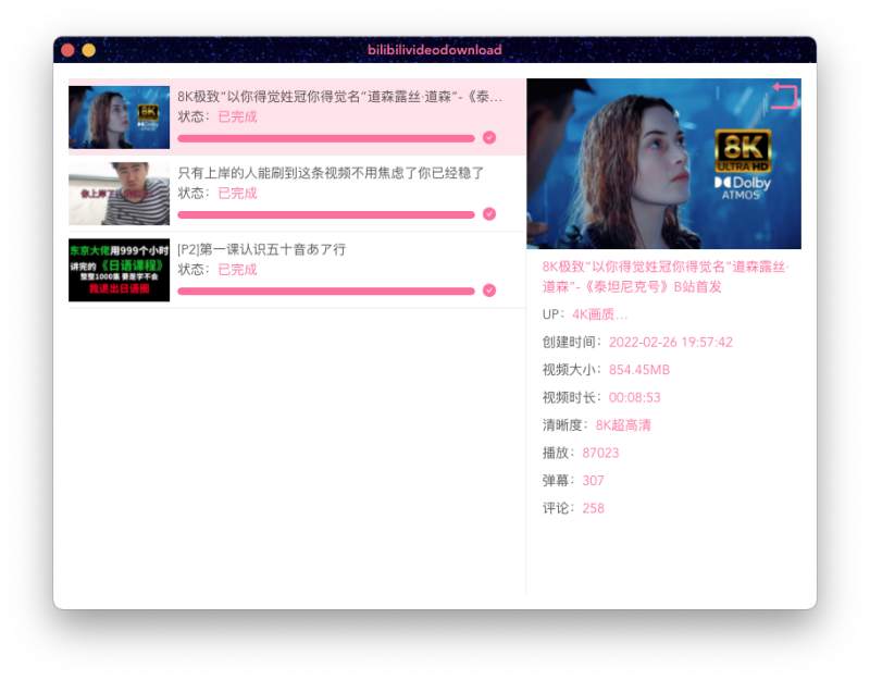 BilibiliVideoDownload 界面截图