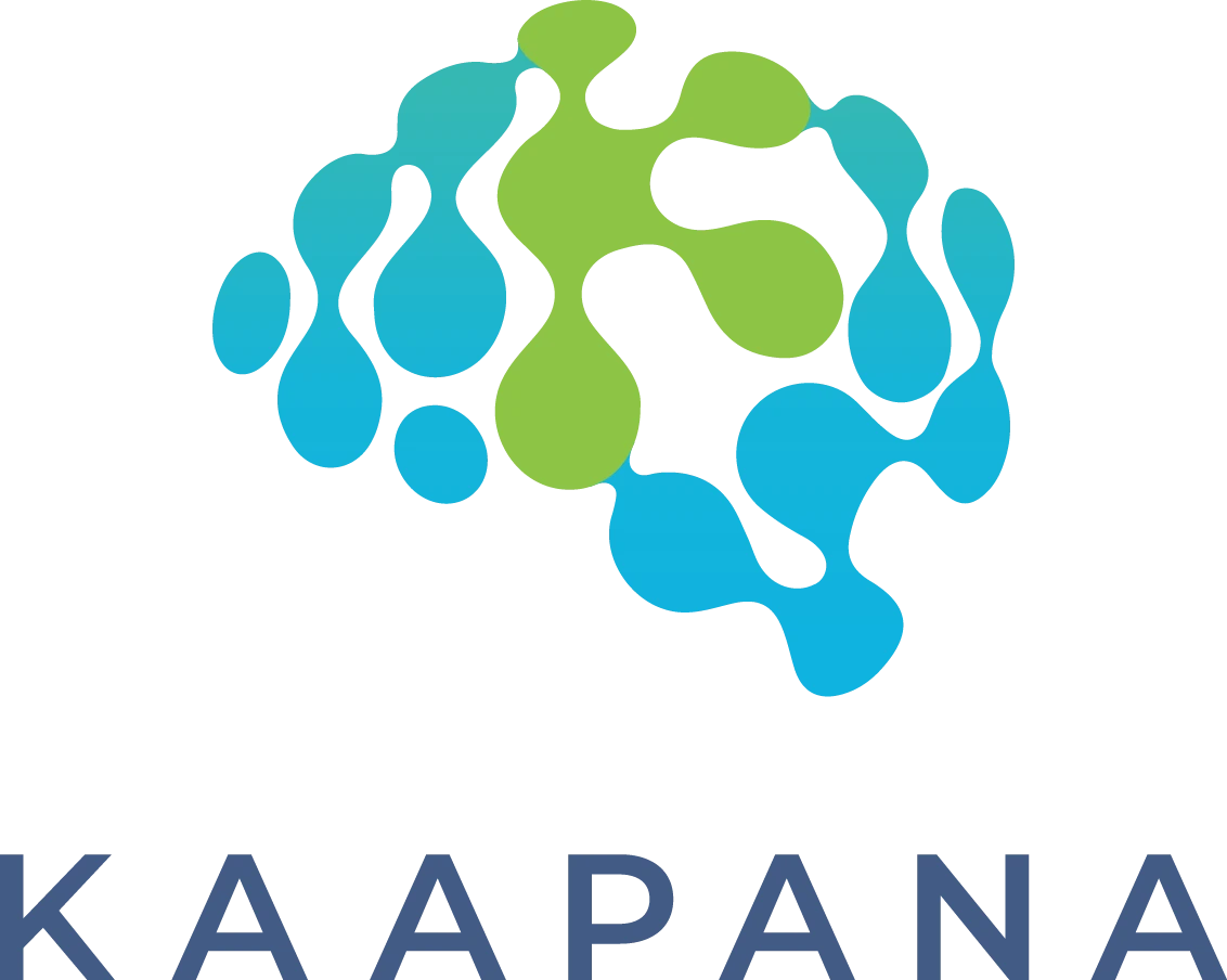 kaapana 主界面