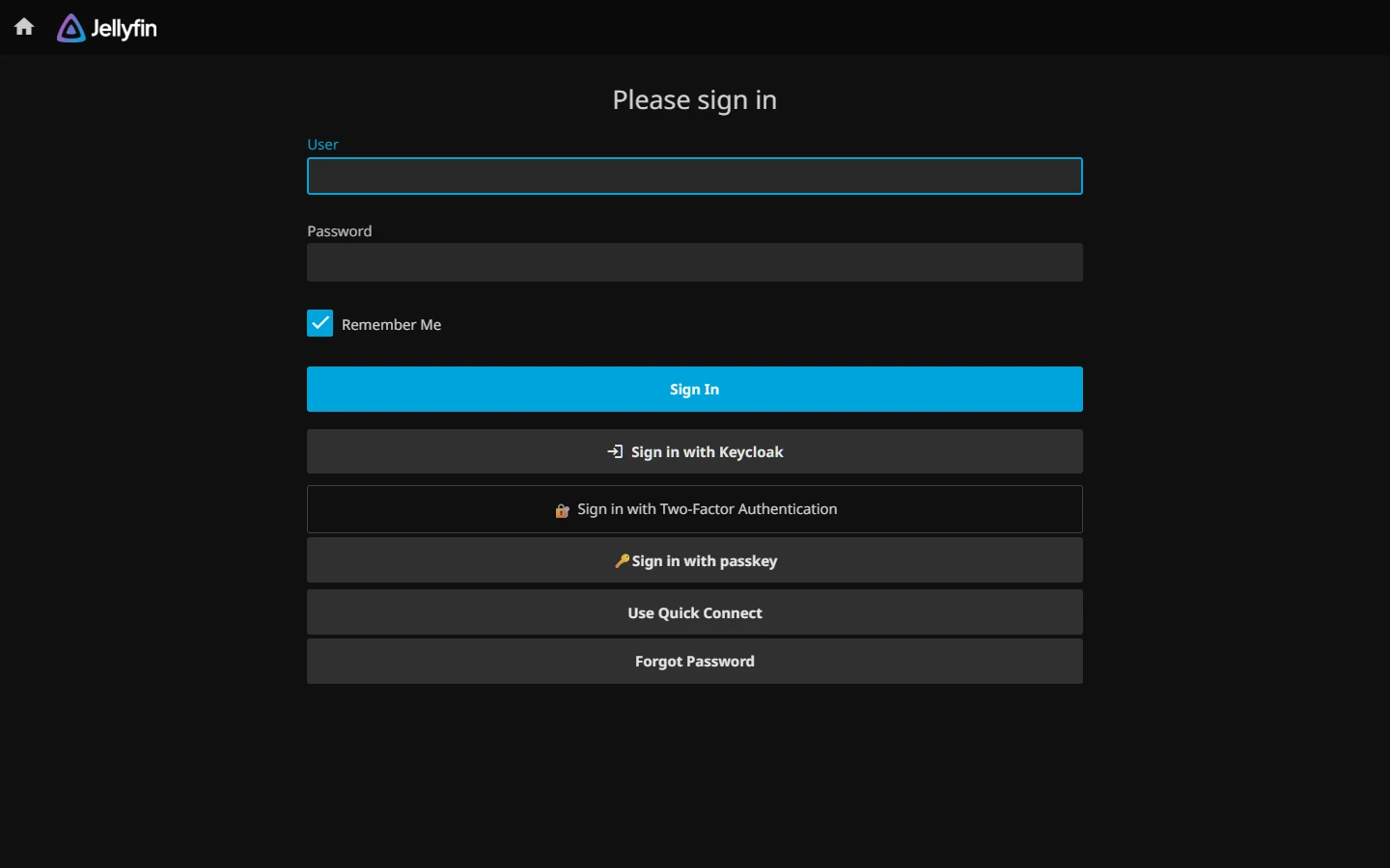 JellyfinSecurity 主界面