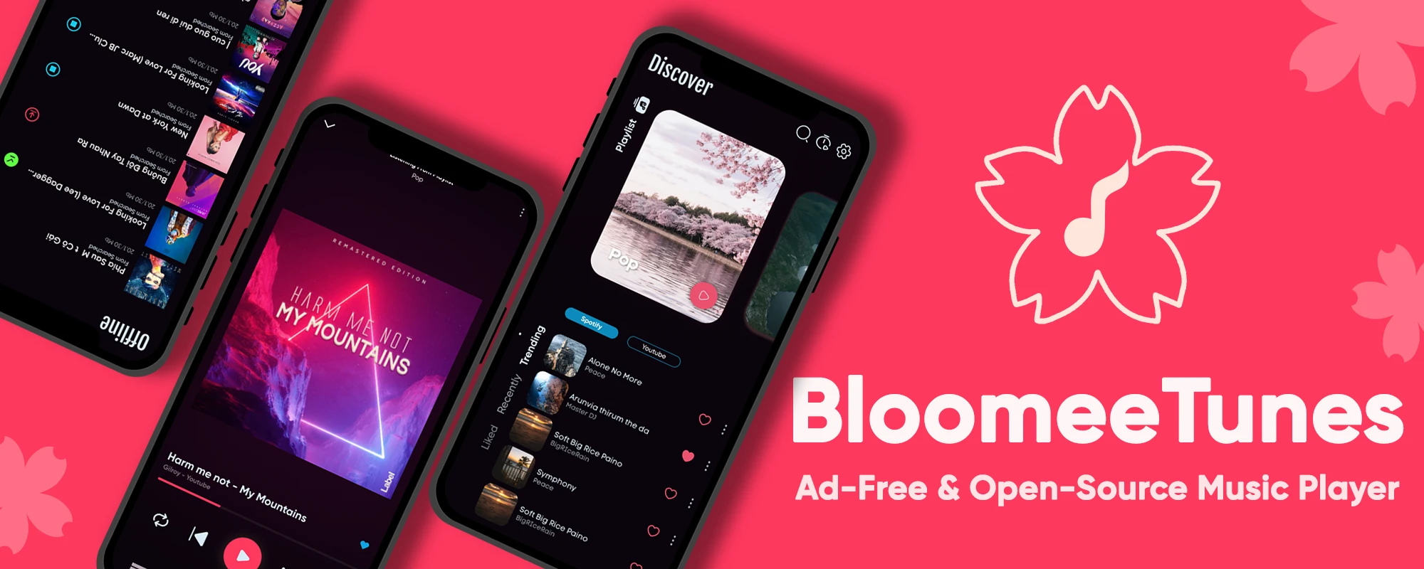 BloomeeTunes 主界面