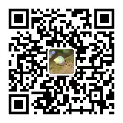 bee 主界面