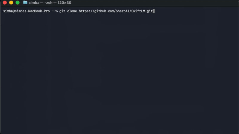 SwiftLM 主界面