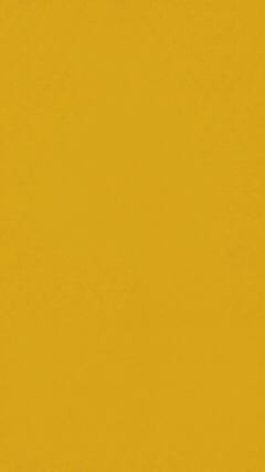 gbro-collage-broll 界面截图