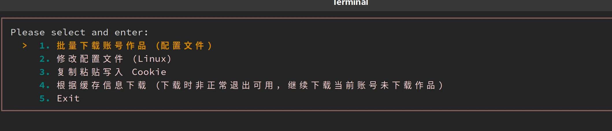 douyin_download 主界面