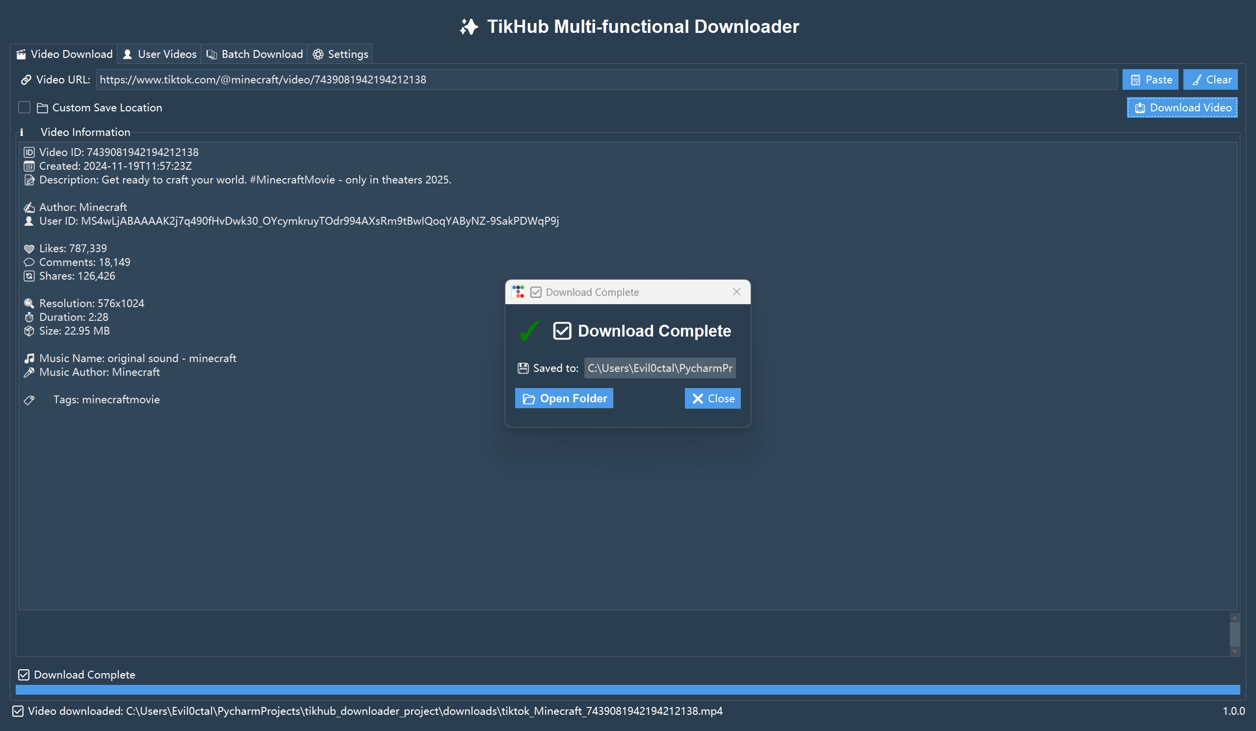 TikHub-Multi-Functional-Downloader 主界面