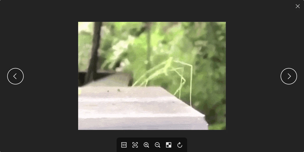pineapple-pictures 主界面