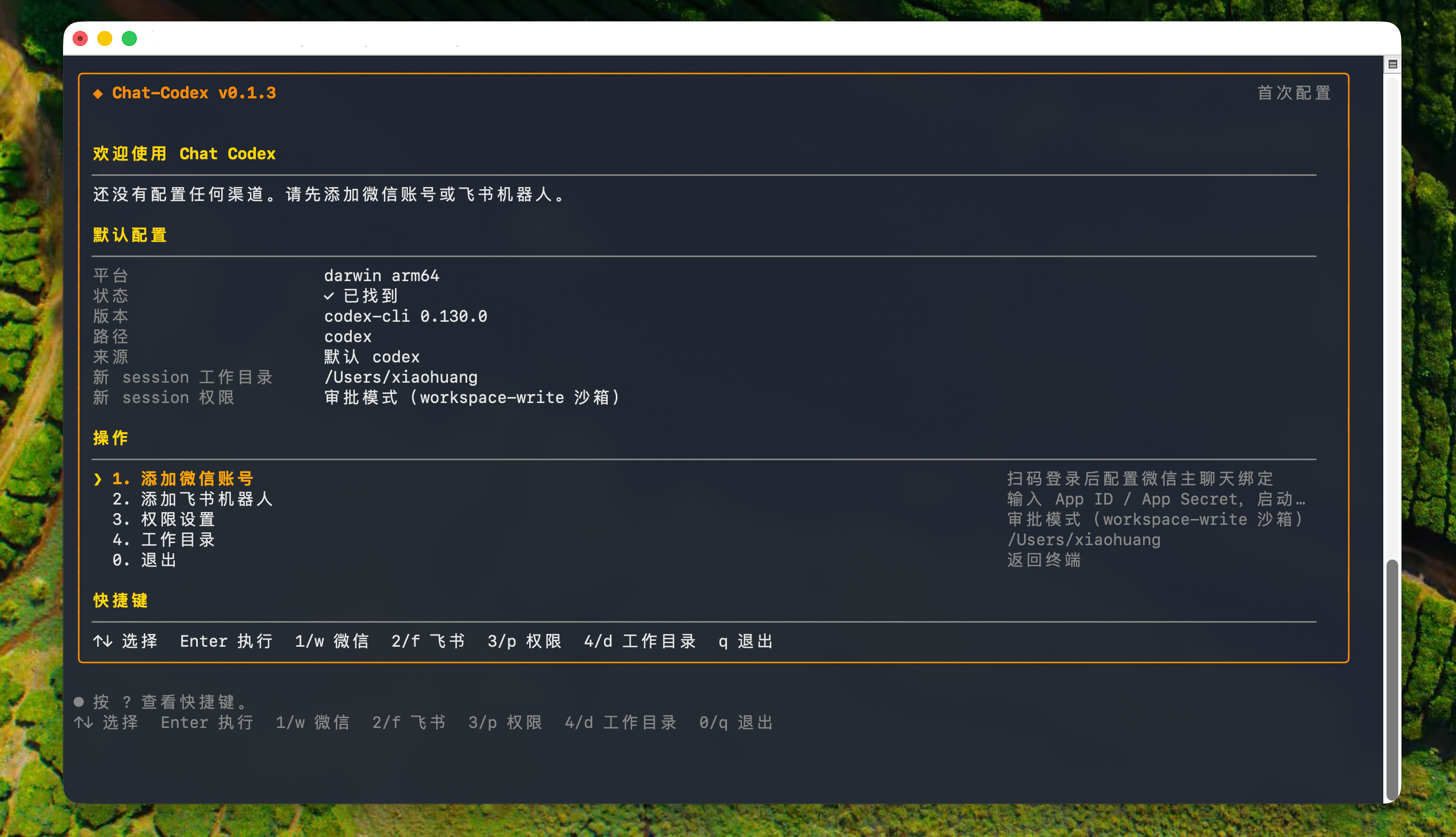 Chat-Codex 主界面