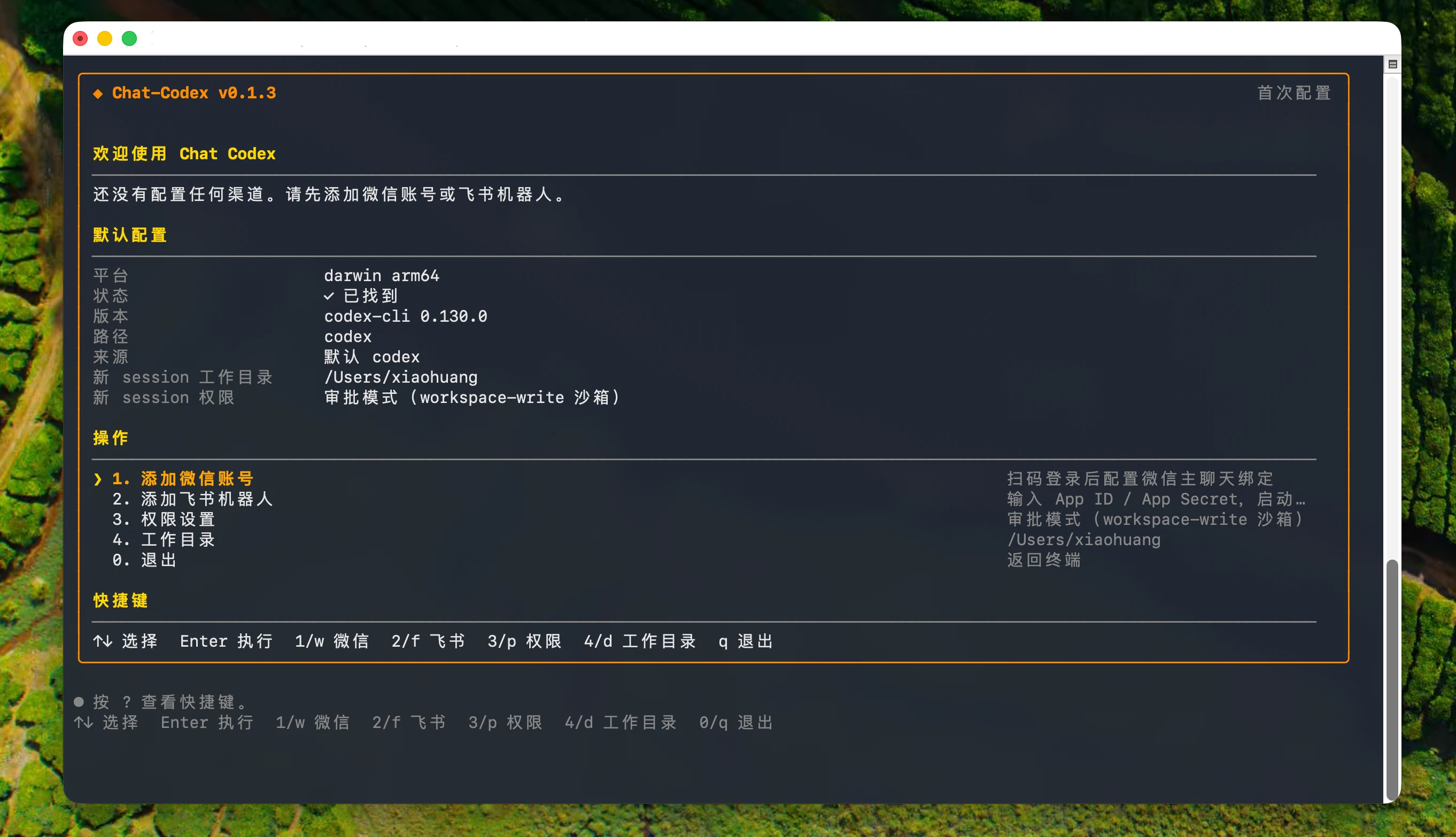 Chat-Codex 主界面