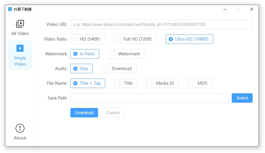 Douyin Downloader 下载界面