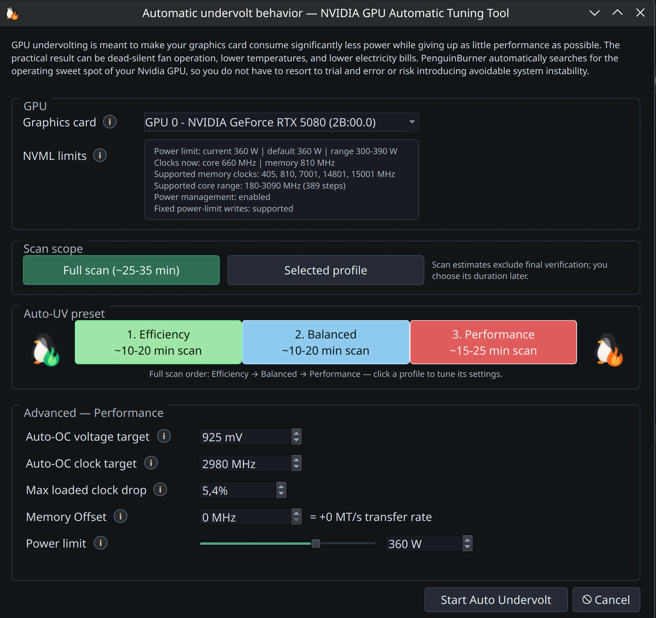 PenguinBurner 界面截图