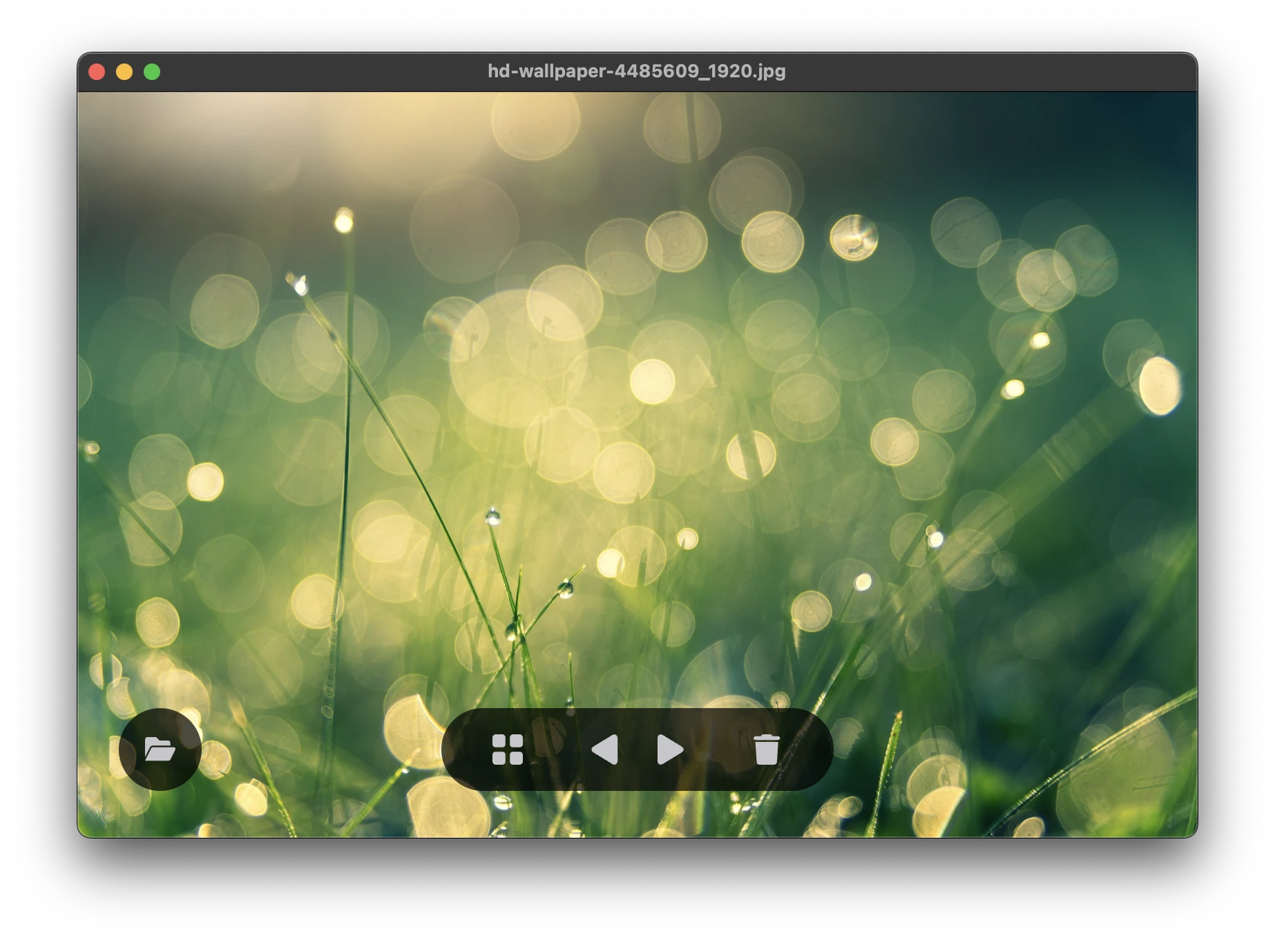 leafview 主界面