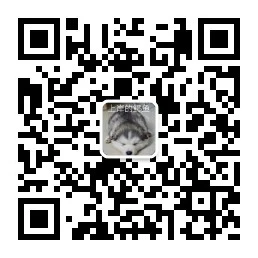 videodl 界面截图