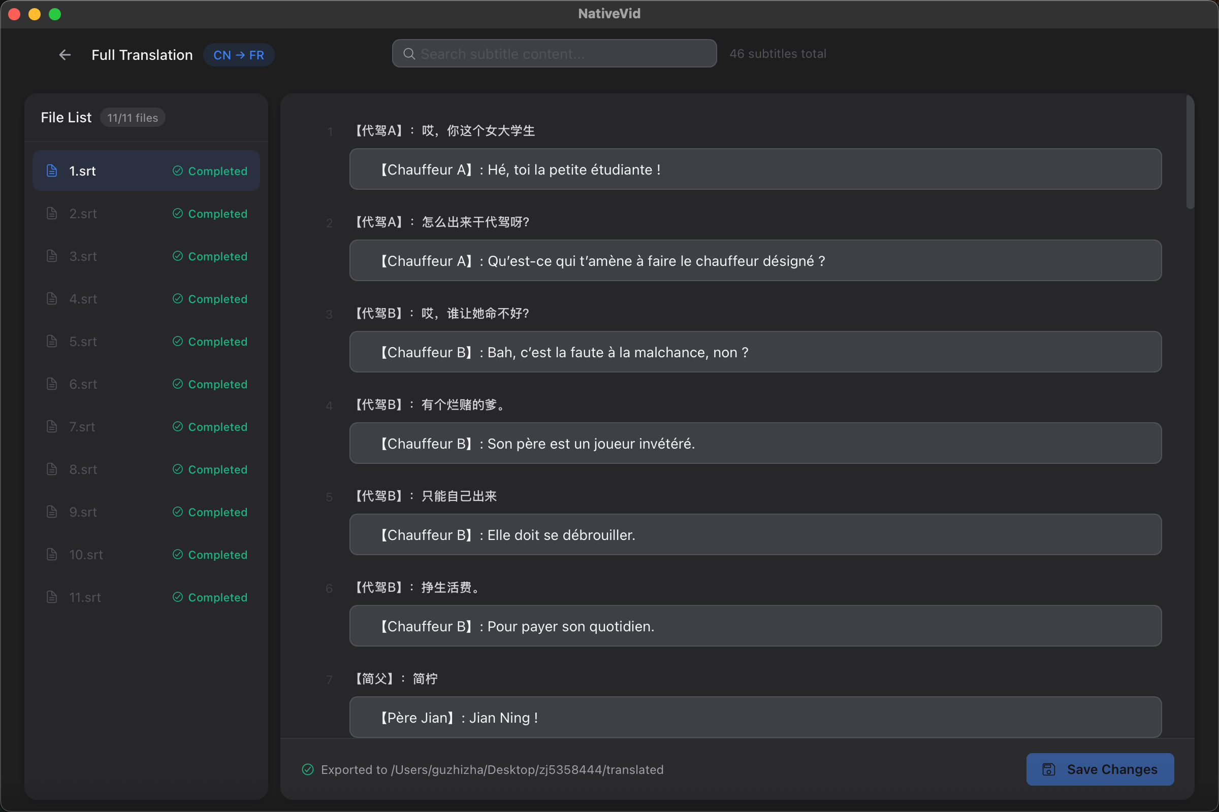 NativeVid--Local-AI-Video-Translator-Dubber 主界面