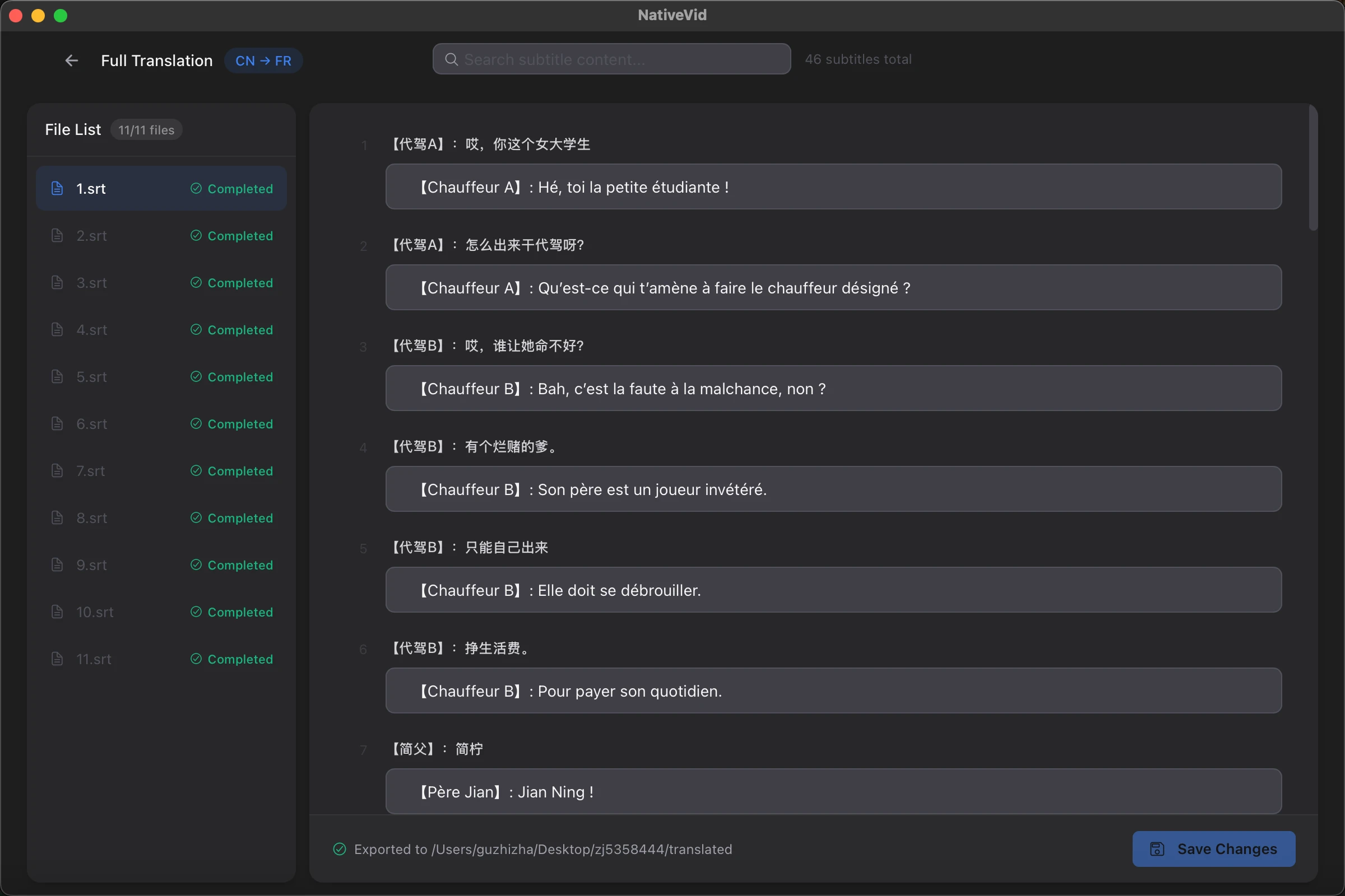 NativeVid--Local-AI-Video-Translator-Dubber 主界面