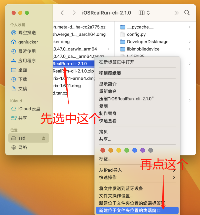 iOSRealRun-cli 界面截图