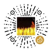 fijkplayer 界面截图