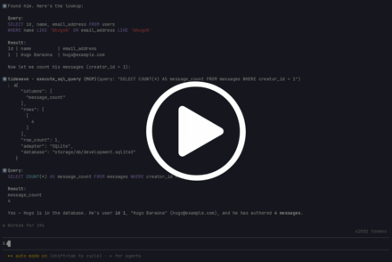 tidewave_rails 界面截图