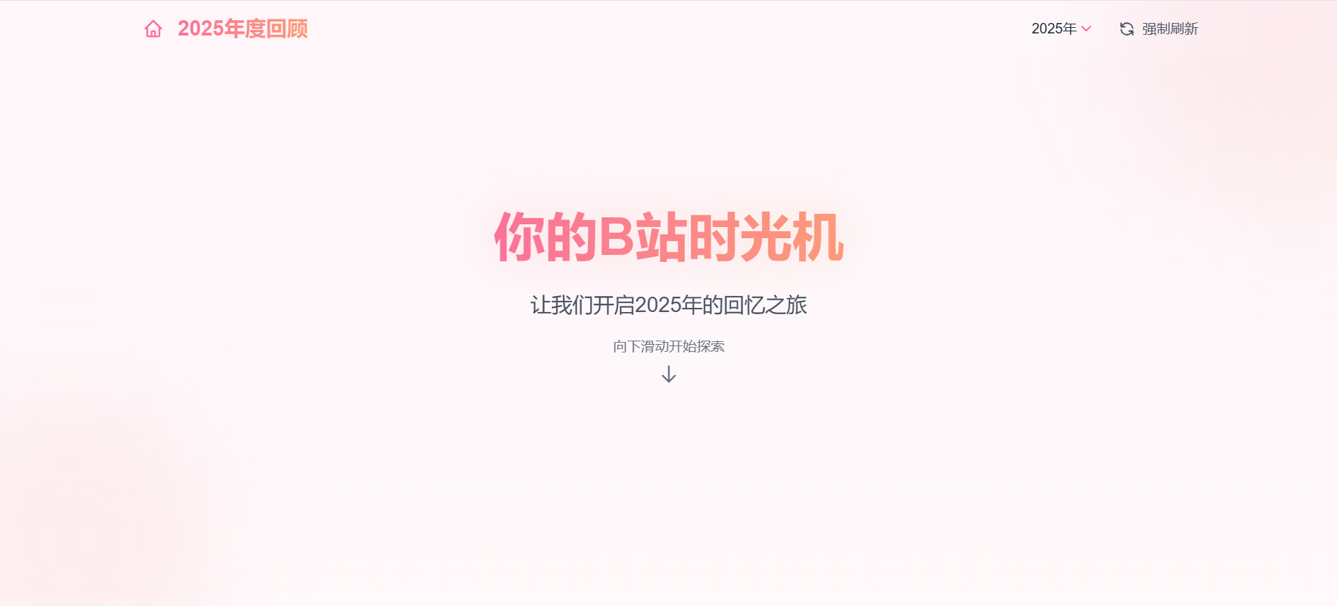 BiliHistoryFrontend 界面截图