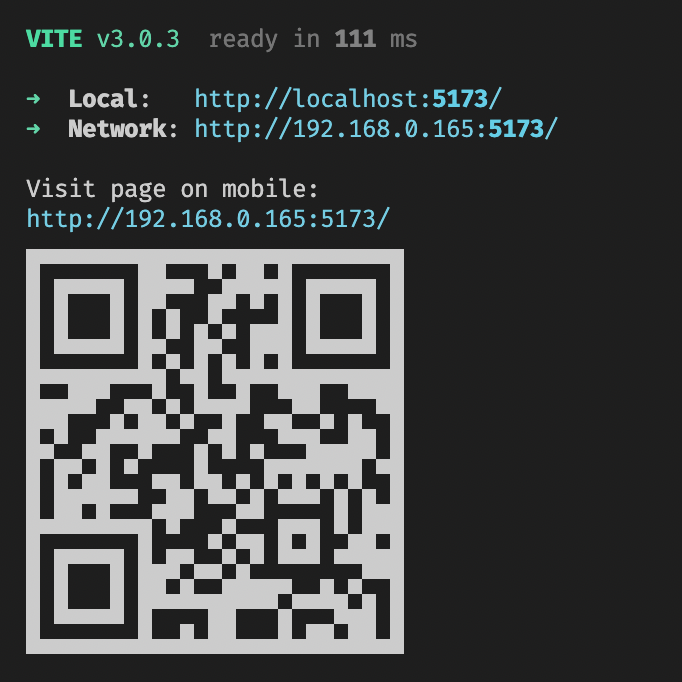 vite-plugin-qrcode 主界面