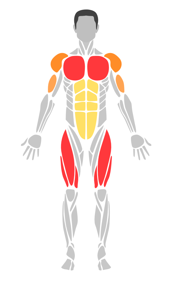 MuscleMap 主界面