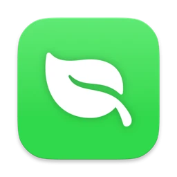 Leaf 主界面