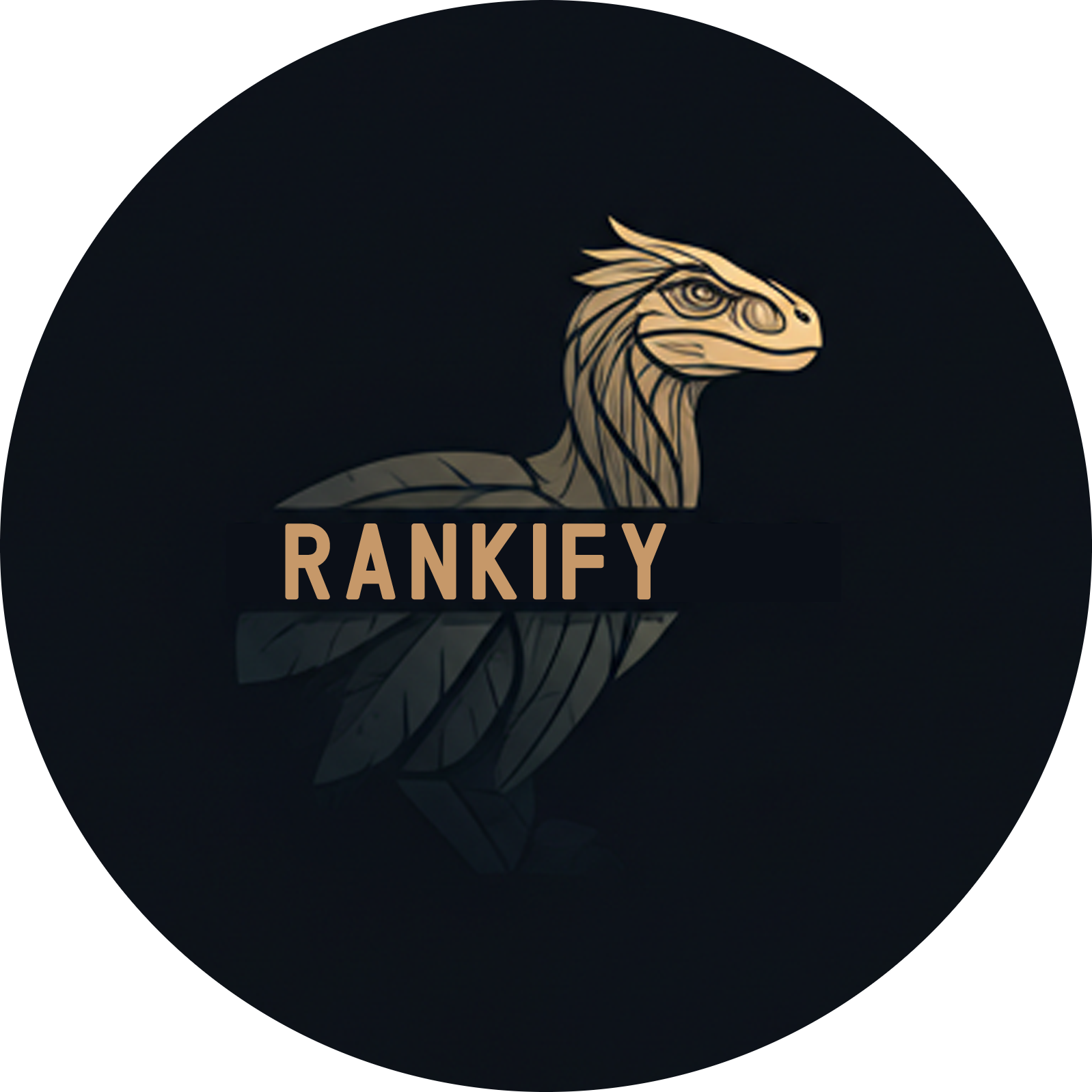 Rankify 界面截图