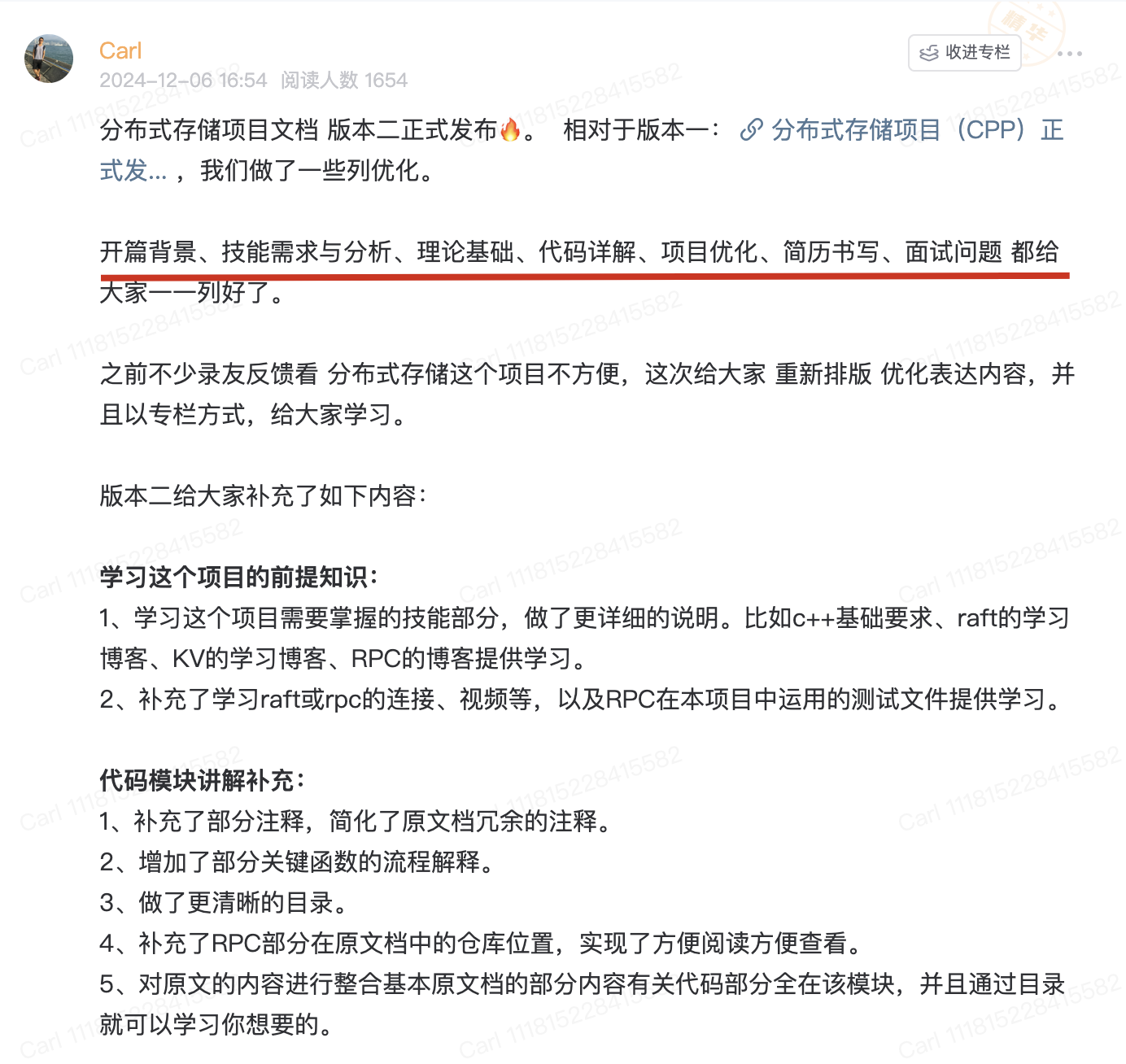 KVstorageBaseRaft-cpp 界面截图