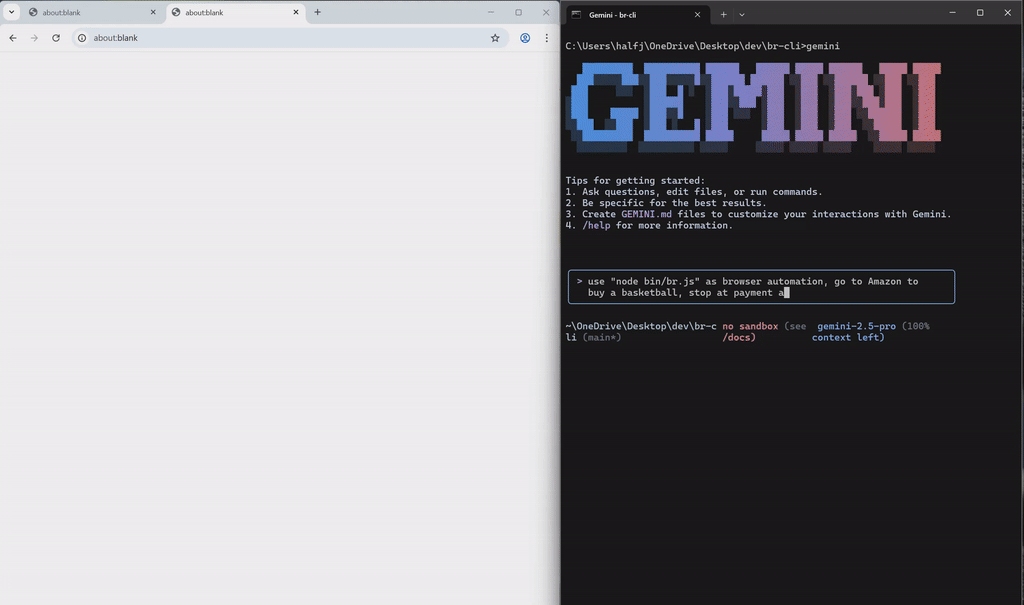 browser-cli 界面截图