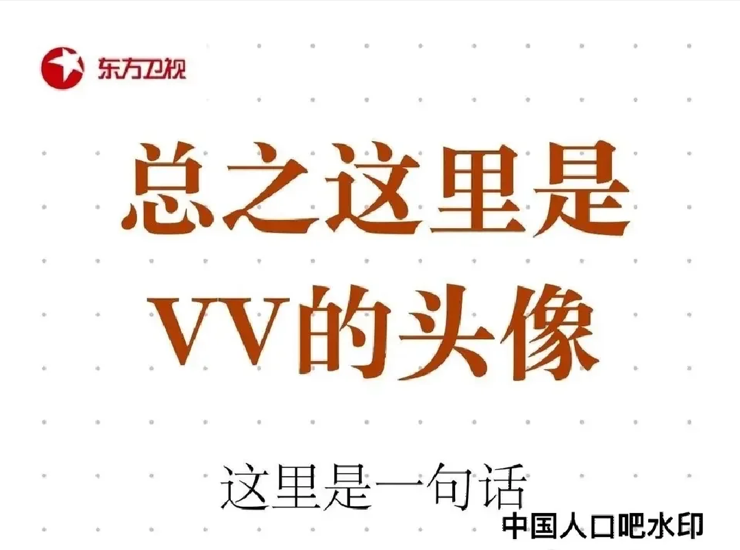 VV 界面截图