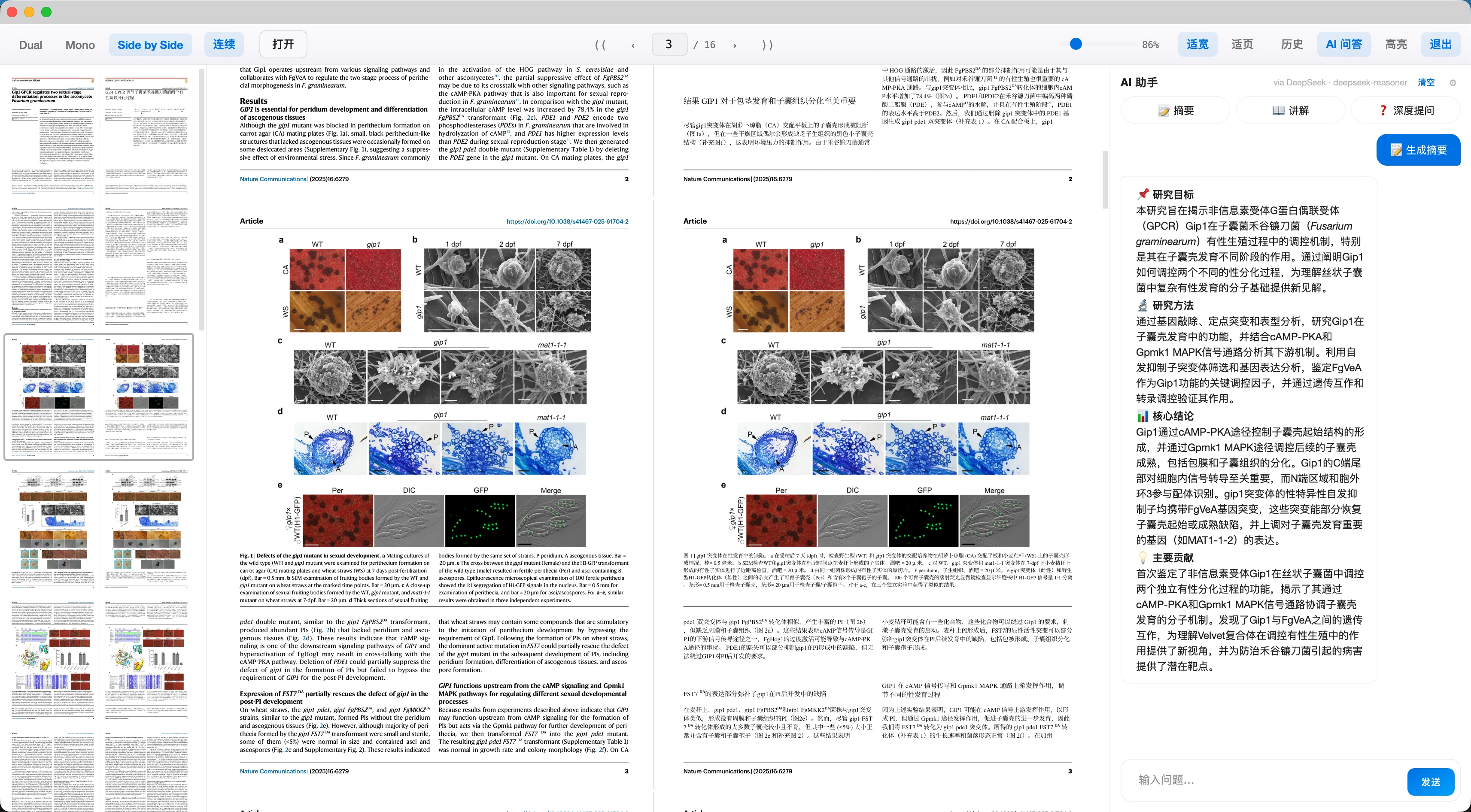 pdf2zh-desktop 界面截图