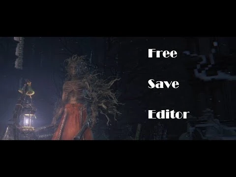 Bloodborne-save-editor 界面截图