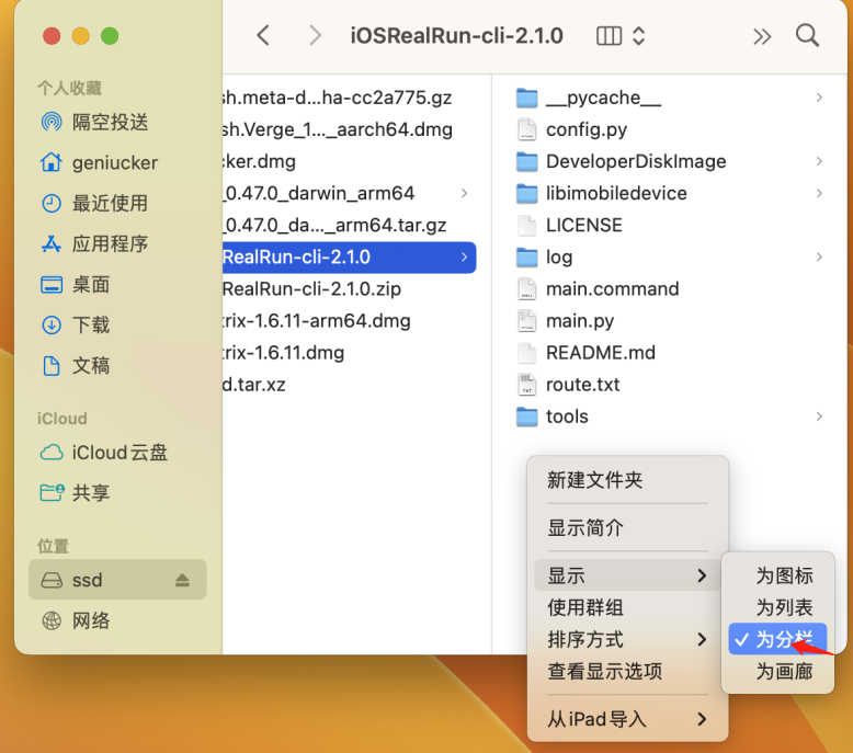 iOSRealRun-cli 界面截图